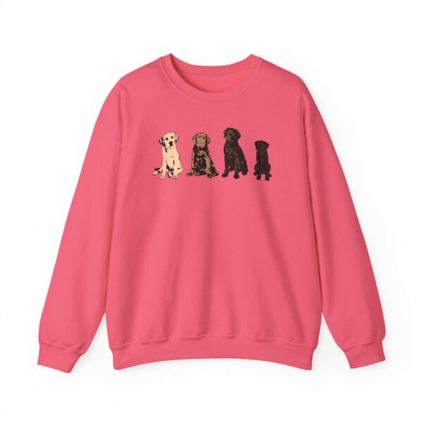 The Labrador Rainbow Crewneck Sweatshirt - Image 11