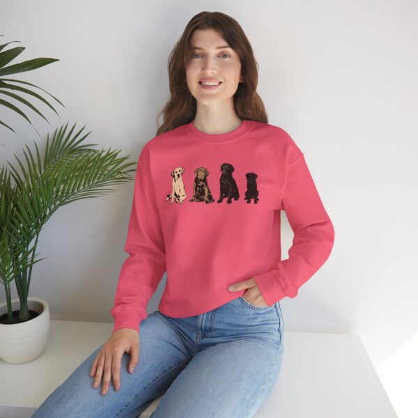 The Labrador Rainbow Crewneck Sweatshirt - Image 15