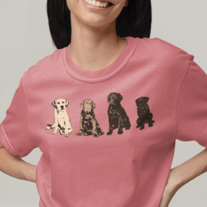 The Labrador Rainbow Mediumweight T-Shirt